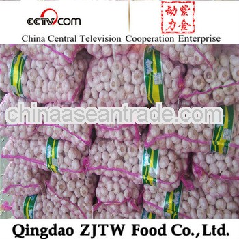 normal white garlic,fresh white garlic