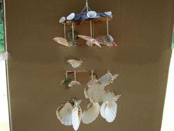 Seashells Hanging Decor