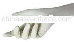 Latex Examination Gloves