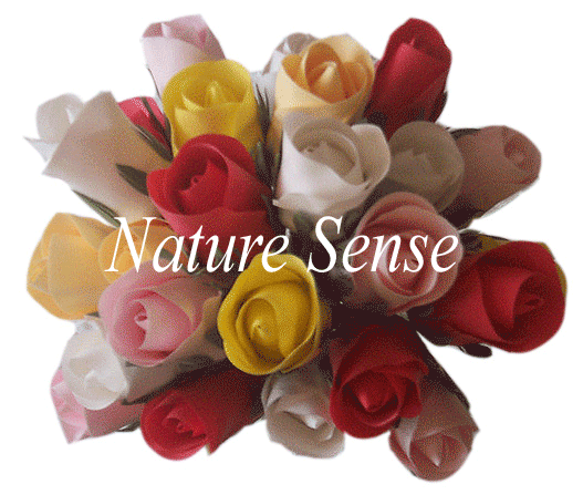Scent Flower