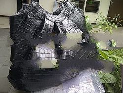 Crocodile Handbag