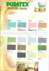 Custom wall paint