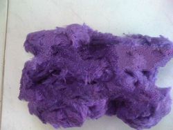 Purple Fiber