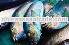 sweet delicacies fish