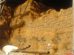 Coco fiber and Coconut shell Charcoal from Ciamis, indonesia