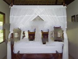 Mosquito Net