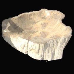 fossil wood sink