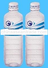 Tiger Head Drinking Water