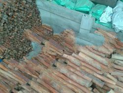 Raw Raja kayu / Red Wood