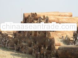 Gurjan Logs