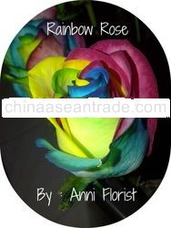 Rainbow Roses, Anni Florist