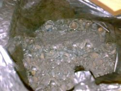 Candlenut shell charcoal