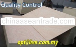 OPT Plywood