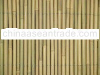 BAMBOO FENCING