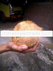mature and frozen coconut