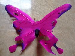 Goose Feather Butterfly