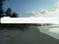 Beach front land, 4 hectares for sale, Bintan island,