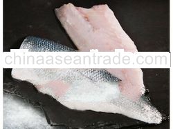 SeaBass Fillet