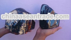 Polished Copal Amber Rough