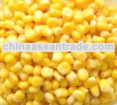 Sweet corn