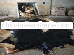 Wet salted bull skin and salted horse skin