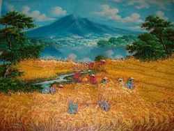 harvest oil paintings