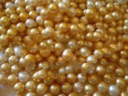 Lombok South Sea Pearl