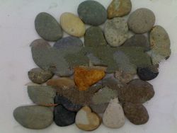 mix colorfull/borneo