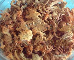 Crunchy / Crispy Meat Floss