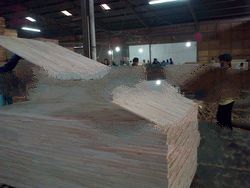 Falcata Bare Core A - Quality GUARANTEED usd 280 CnF