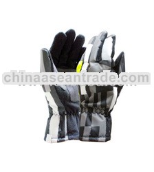 SKI Gloves