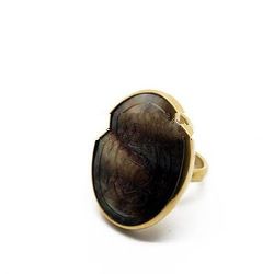 brass ring shell
