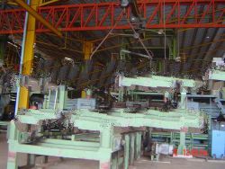 Veneer & Plywood Mill 9 / 9 / 9 / 5 Production Lines