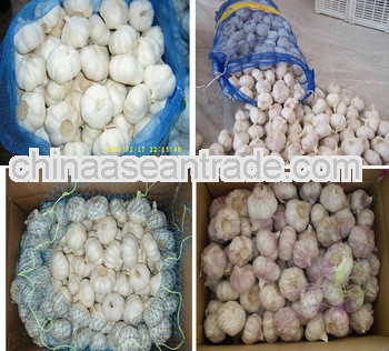 organic garlic manufaturer