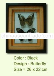 Butterfly Frame