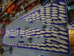 Cleaned Golden Cave Nest