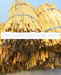 Natural Stick Cinnamon (Material for KAAA or KAA stick and KABC broken cinnamon )