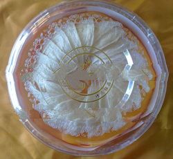 Excellent Boat Shape Bird's Nest