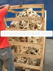 BONE STONE