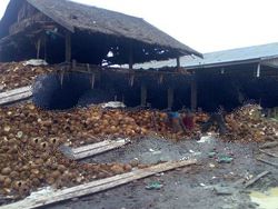 coconut shell charcoal