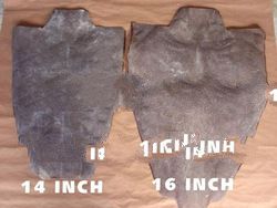 Raw Hard Stingray Skin Unbleached (Original)