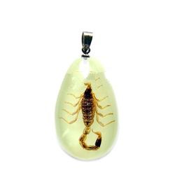 Real Insect Amber Necklace pendant (crafts,gifts,souvenir ,novelties,gift promotion,pendant,)