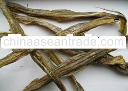 Bombay Duck Dried Fishes