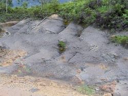 Coal Mine For Joint Operation