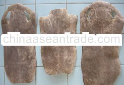 stingray skin
