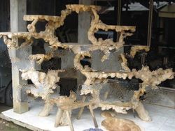 Furniture Manufacturer and Wholesale