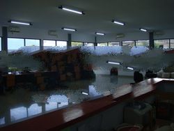 TC, Cotton and Bleached