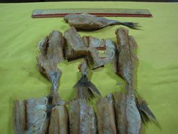 Miki's Dried Surgeon Fish