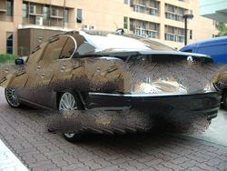  Used Cars Exporters  Used Cars