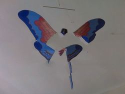 Fly butterfly